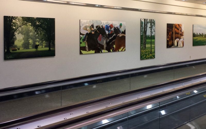 Unique Imaging Concepts